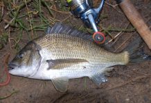 River offers good variety