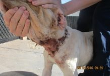 Cruel city claims don’t add up