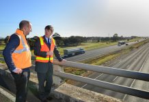 Freeway’s guides to crash survival