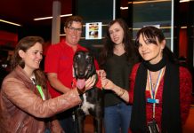 Study pressure takes a paws