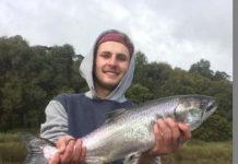 Snapper fever makes comeback