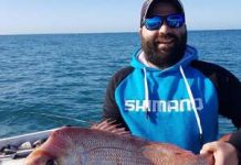 It’s a feast offshore