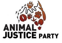 Theft claim rocks election