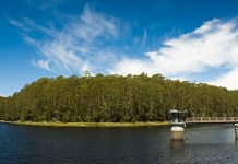 90 per cent drop in pesticides