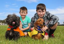 Ruff race for top show dog title