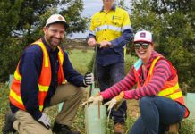 It’s the day of the tree