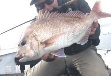 Catch improving, anglers happy