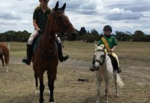 Pony passion lives on