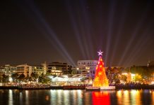 Lyons floats mega-tree vision