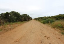 Dirt road to controversial nude beach re-opens for long weekend