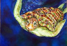 Community pride in creativity