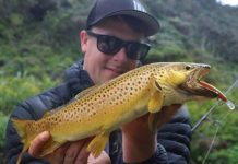 Catches pick up in weather break