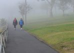 Fog_141515_02.JPG