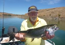 Kingfish and tuna surprise