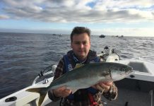 Fun of kings and Springs