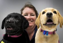 Pup helpers seek homes