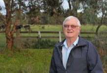 Councillors closing in on Geelong Saleyards sell-off