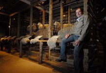 Lib goes rogue on Geelong convention centre, says car park site a done deal