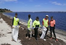 Teens clean habitats