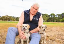 ‘New tricks’ for dog owners
