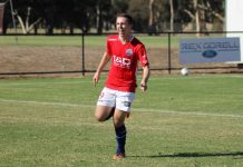 Warriors hunt Zebras after Magic victory