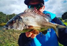 St Leonards feast of fish