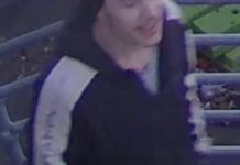 Burglars take Cats’ alcohol in same-day raids on stadium