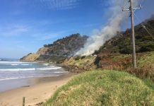 New lead ‘fires up’ gun search on Great Ocean Road