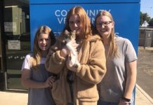 Families pounce in GAWS cat clear-out