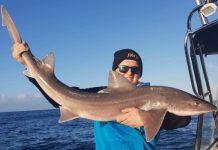 Anglers bag great break