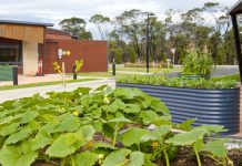 Upgrades boost for lodge