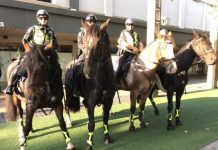 Police mount city initiative