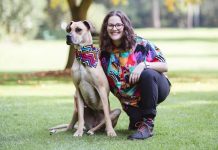 Great Dane out for pooches in the pound