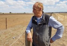 ’Ambush’ in goats battle