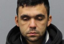 Police search for sex offender