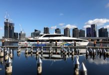 Geelong ferry ‘viable with 130 passengers’