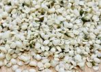 Hemp_181391_01.jpg