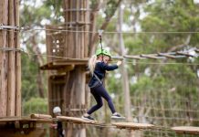 Lorne’s park wired for fun
