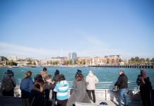 Ferry dreams for Christmas