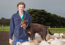 Boof’s barking mad about GPS challenge