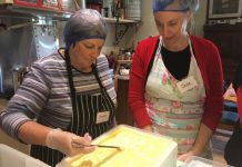 Cheeselinks maturing nicely