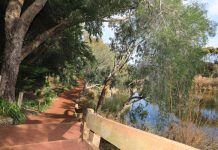 Lovely Lara’s booming