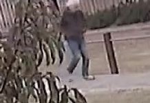 Surf Coast pen pervert could be local