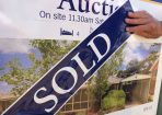 Auction_190625_01.jpg