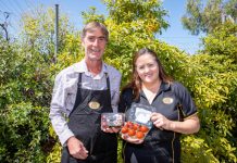 Smoked eggs winning fans