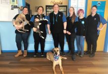 Blue Moon rises at business awards