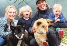 Wild about awards success