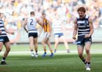 Cats_196490_04.jpg