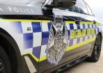 Policecar_194314_12.jpg