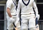 cricket_199858_01.jpg